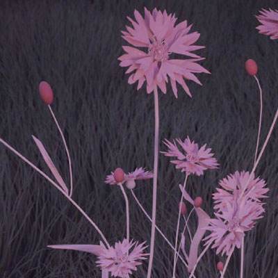 安博体育的最新版本手机app下载